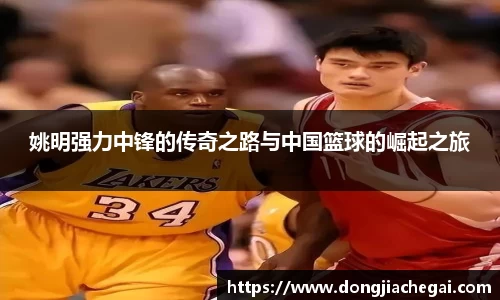 姚明强力中锋的传奇之路与中国篮球的崛起之旅