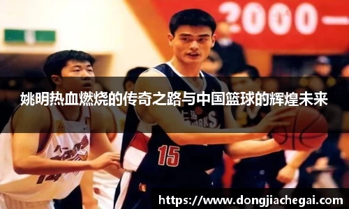 姚明热血燃烧的传奇之路与中国篮球的辉煌未来