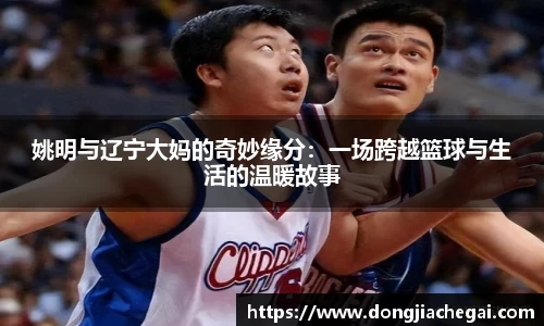 姚明与辽宁大妈的奇妙缘分：一场跨越篮球与生活的温暖故事
