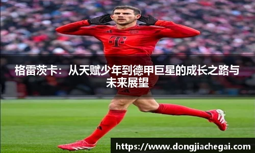 格雷茨卡：从天赋少年到德甲巨星的成长之路与未来展望